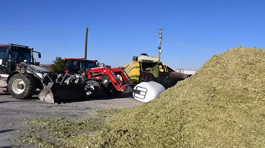 Ve sezon start aldı: Bu işten milyonlarca TL ek gelir sağlanıyor