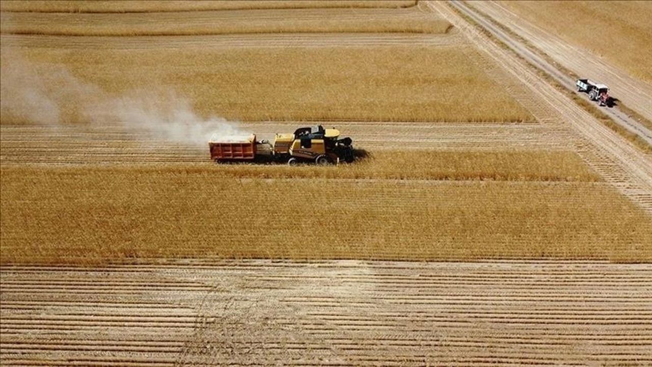 Çiftçilere 47 Milyon TL’nin Üzerinde Destekleme Ödemesi Başladı