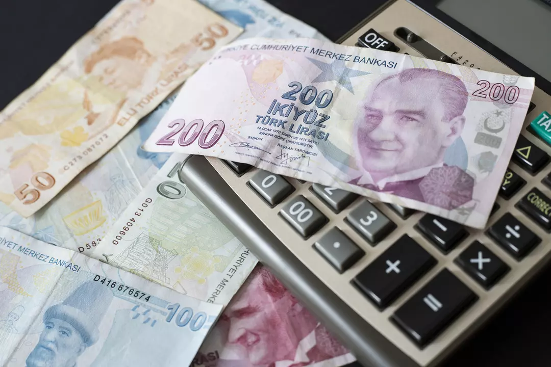Parası olanlara çalışmaya gerek yok! Aylık 15 Bin 45 TL 32 günlük vadeli mevduat kazancı
