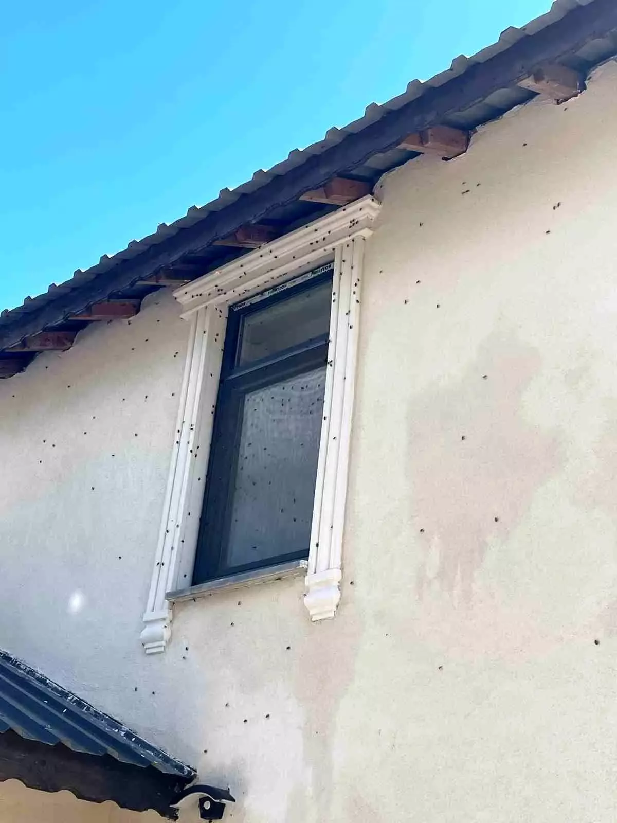Mahalleyi sardı! Vatandaşlar korku içinde