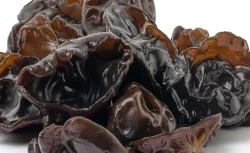 Kilosu servet ediyor! Hasadı çok zor ama bulanlar şanslı